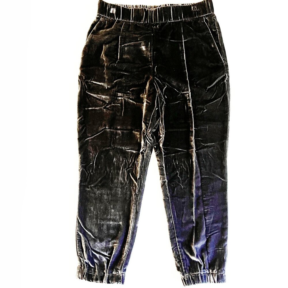 Ann Taylor Ankle Silver Grey Crushed Velvet Velour Stretch Pull On Pants MP